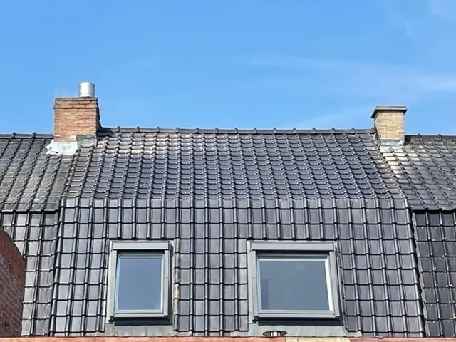 Dak met twee dakramen